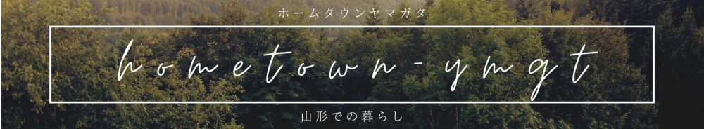 E09 エラー 石油ファンヒーターが突然止まる原因は ほこり だった Hometown Ymgt